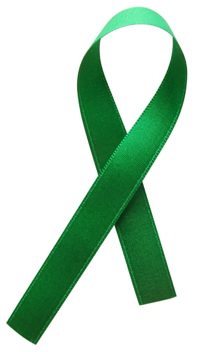 Green Ribbon Divider