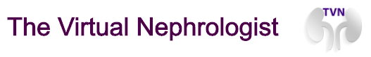 The Virtual Nephrologist Logo